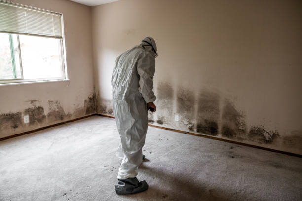 Best Mold Documentation for Insurance Claims  in Mcguire Af, NJ