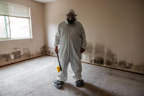 Best Emergency Mold Remediation  in Mcguire Af, NJ